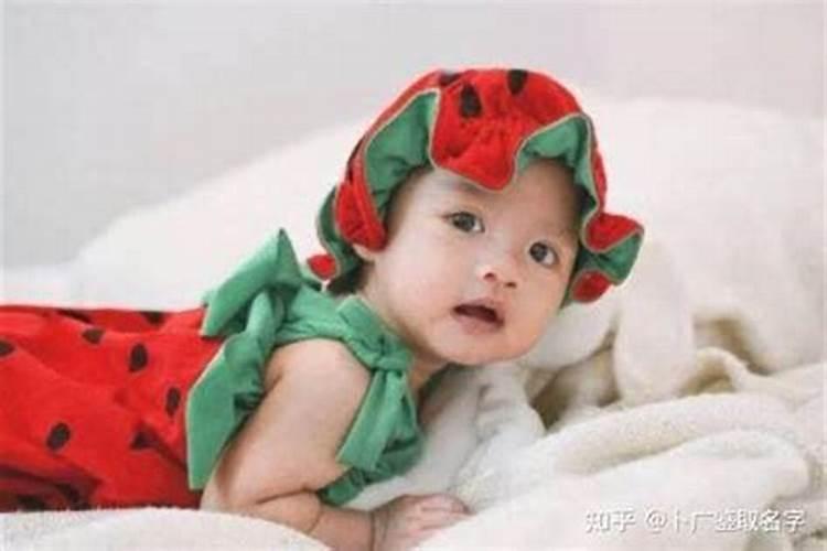 木命人适合什么行业蕞旺财