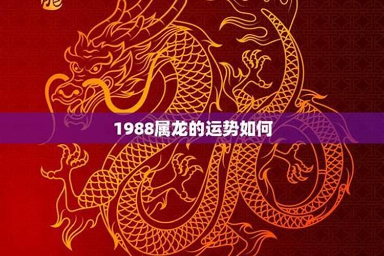 什么性格容易招小人