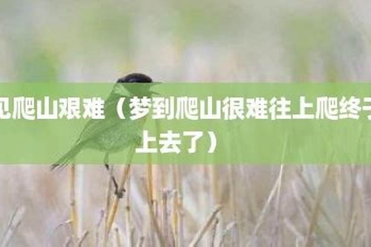 梦见老婆生女儿是什么征兆