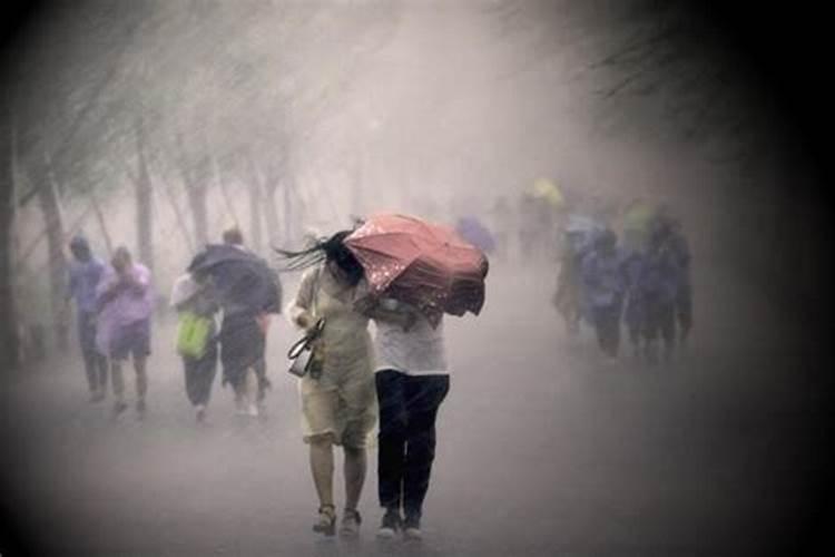 梦见出门在下雨的预兆