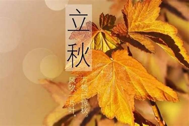 年柱癸丑和庚申相合吗