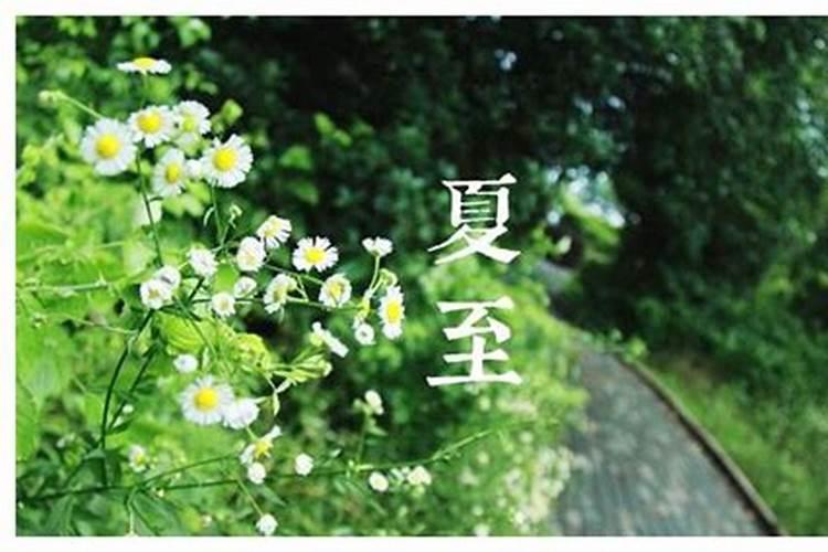 怀孕梦见男孩预示什么