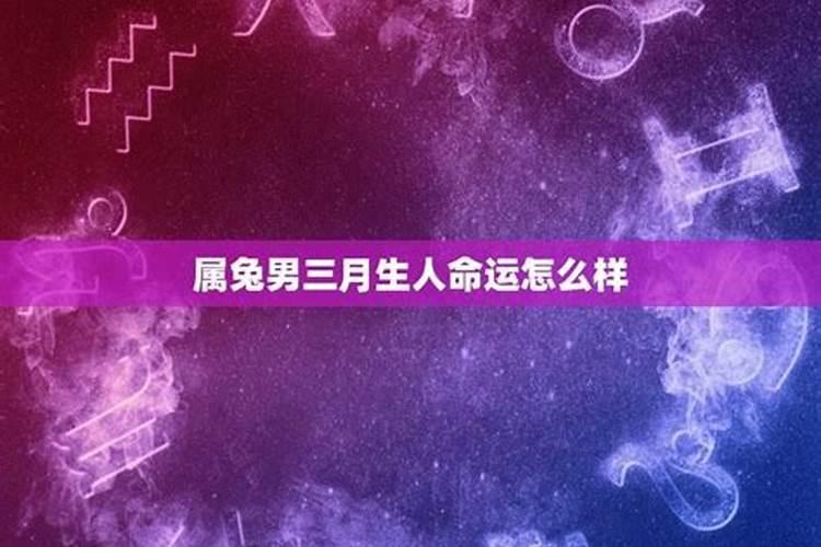 属马人哪一年犯太岁最严重,各方面运势如何