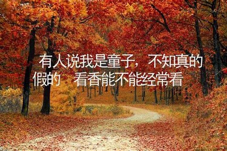 天天吵架的家庭会对孩子有什么影响
