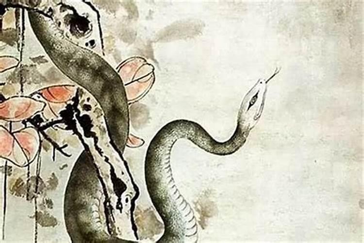 招小人算计怎么办