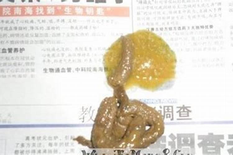 属兔人2024年犯太岁要注意什么