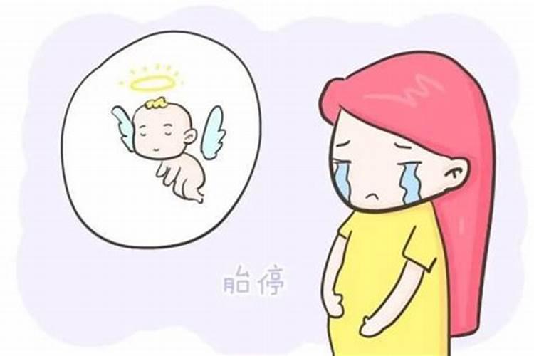 梦到枇杷是什么意思梦到枇杷是什么预兆