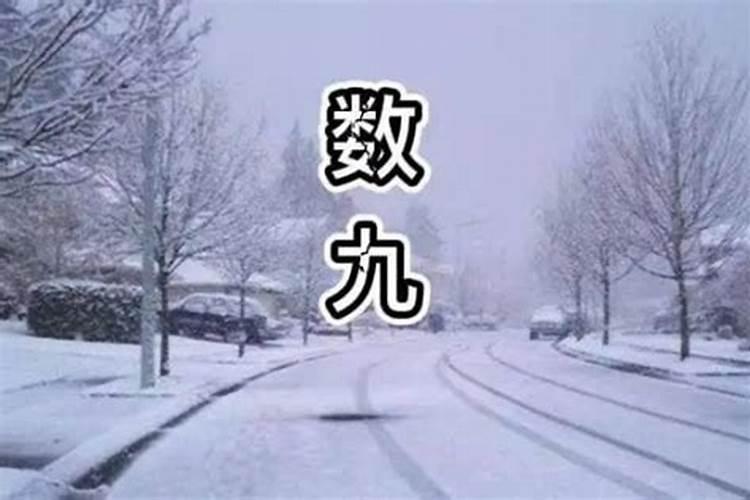 梦见许多红马奔跑的预兆
