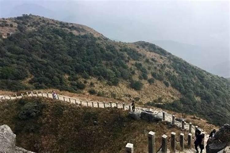 不同的地方不同的重阳节习俗,哪些地方在这天会去登高？
