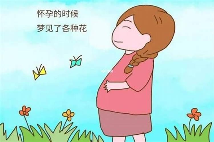 重阳节由来和节日风俗？