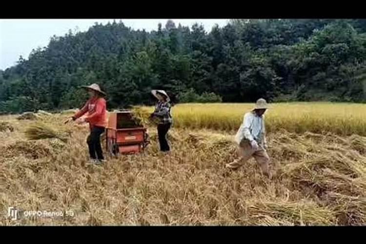 真童子命是不是活不过18岁的？,活不过18岁就是真童子命？