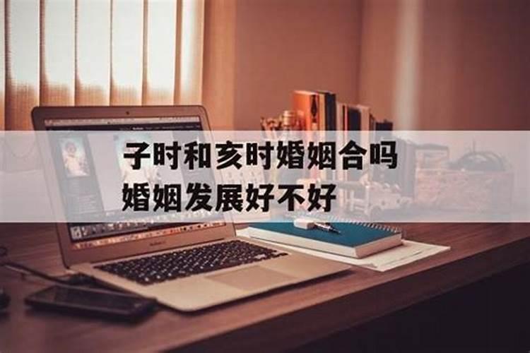 子时和亥时合不合 婚后衣食无忧