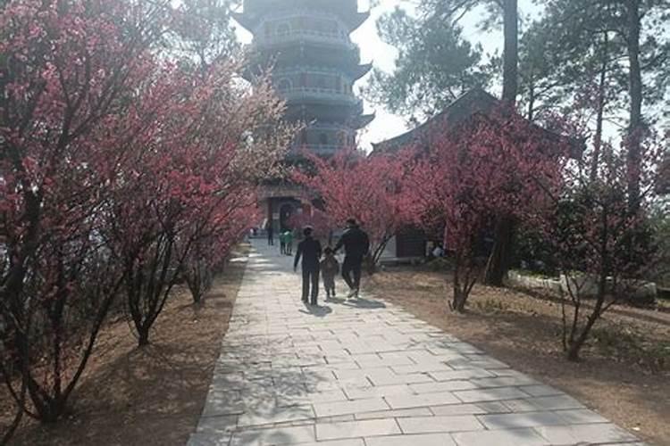 梦见去世已久的外婆的预兆