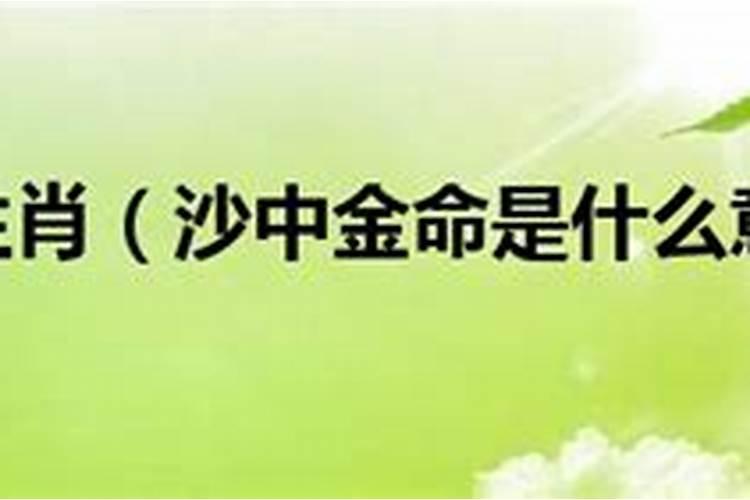 海中金命是什么意思,海中金命忌讳什么