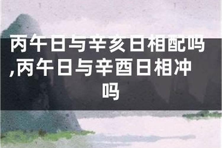 六丙日出生男女八字合婚表