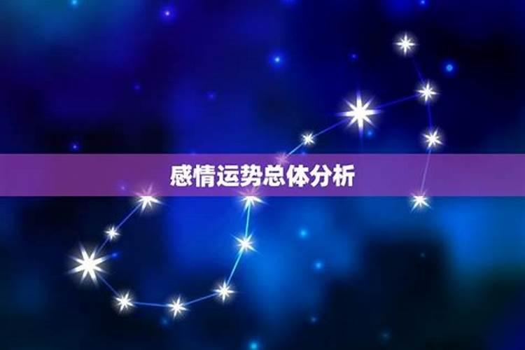1994属狗2025年的运势及运程