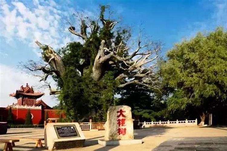 老公出轨了家庭风水会受影响吗？