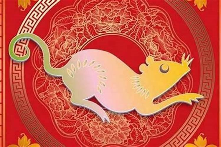 住什么属相的房子最旺,12生肖住几楼最旺