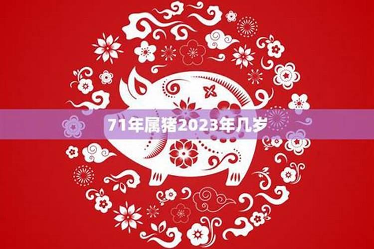 属猪2025年犯太岁怎么化解