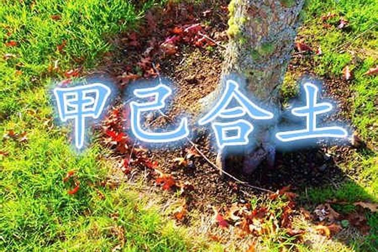 八字合不合怎么算出来的