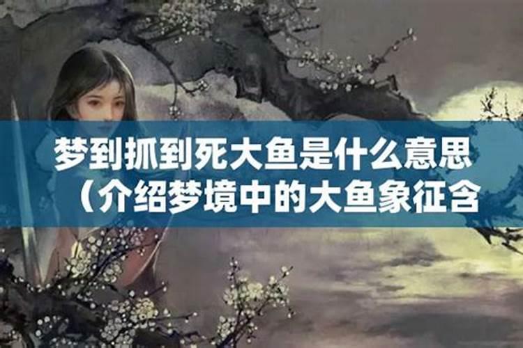 一本正经的沙雕段子