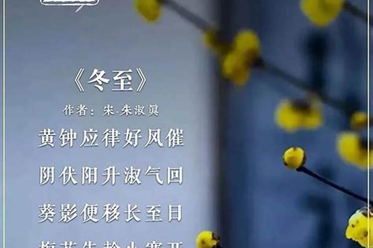 友谊的八字唯美句子精选118句