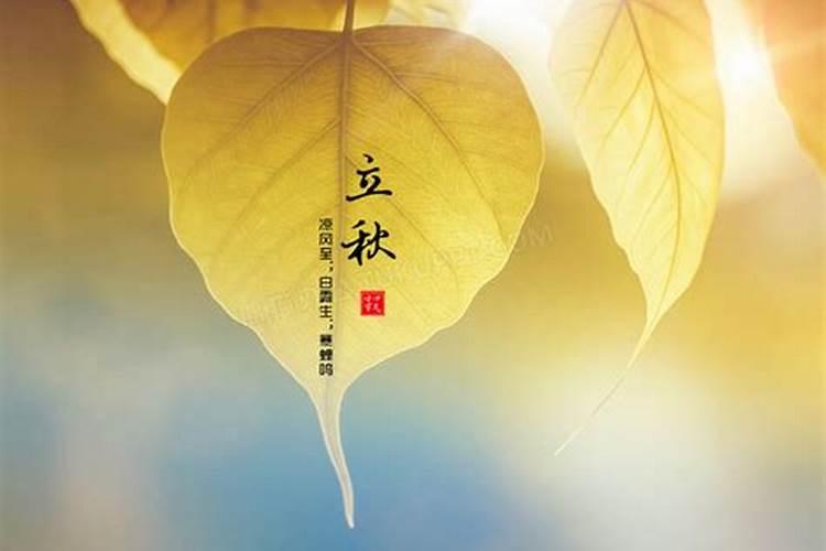 立秋有什么风俗