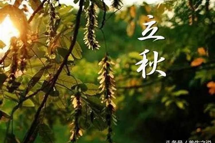立冬的习俗风俗习惯有哪些