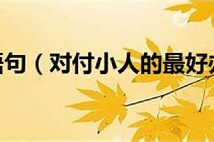 怎么对付无赖小人