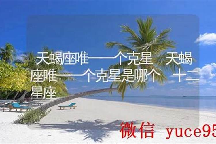 冬至是冬天的结束还是开始