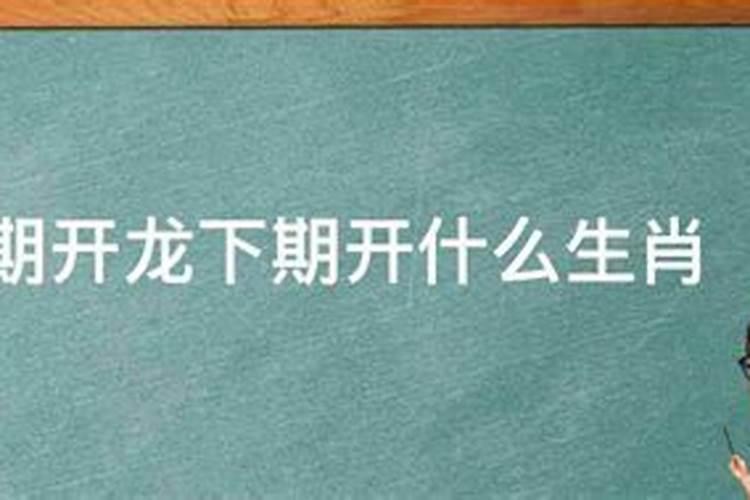 十二生肖上期开什么号