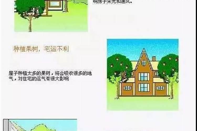 属兔金牛座女生的性格特点