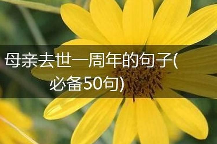 今天扫房子好吗？