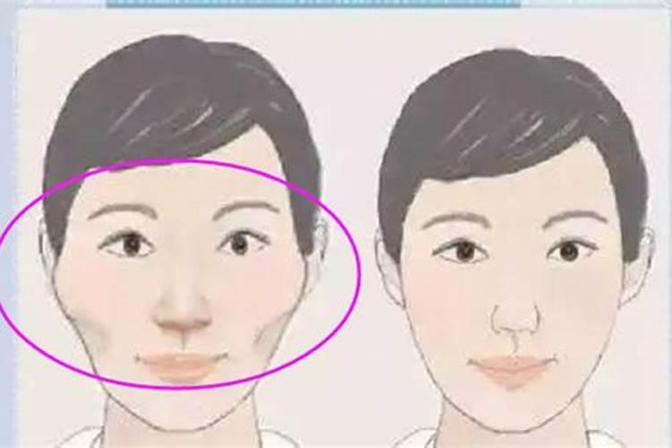 2025生肖鸡的运势大全