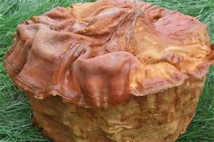 太岁头上动土 这个太岁究竟是个什么东西？？