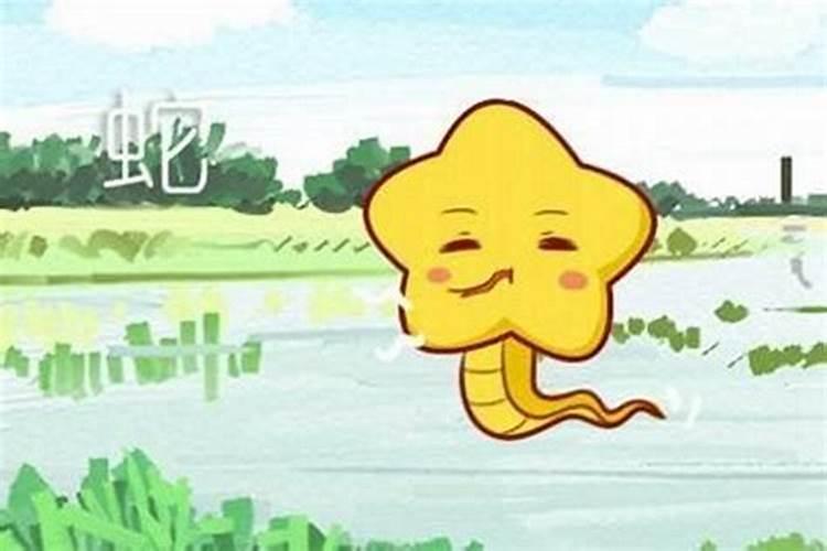 2024年属蛇犯太岁结婚怎么化解 属蛇人太岁