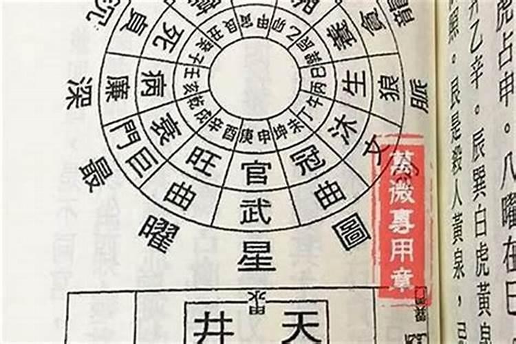 八字妻星怎么看,八字怎么看下妻星