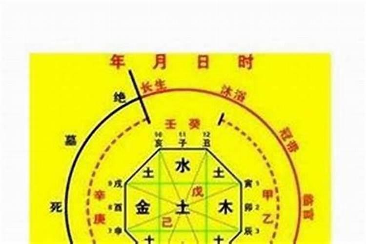 2025年4月24号冲什么生肖