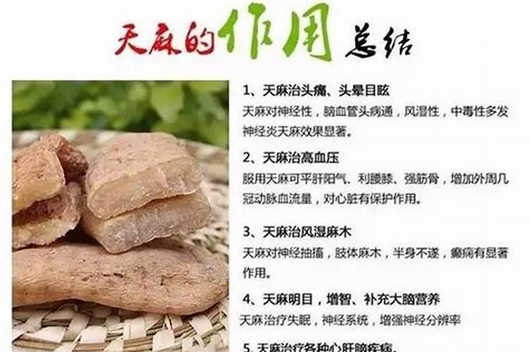 84年鼠2024年属鼠人的全年运势如何