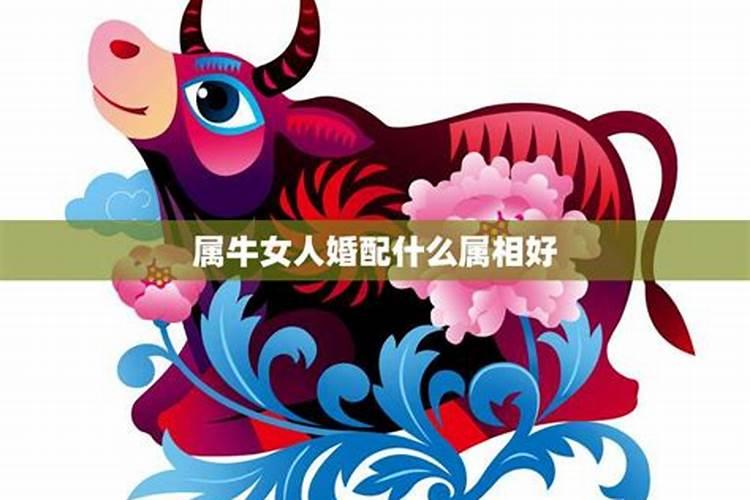 97牛女和什么属相最配,属牛女的上等婚配
