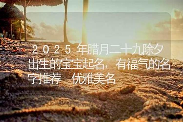 农历1990年腊月二十九属相,农历1990年12月29出生到底属什么？