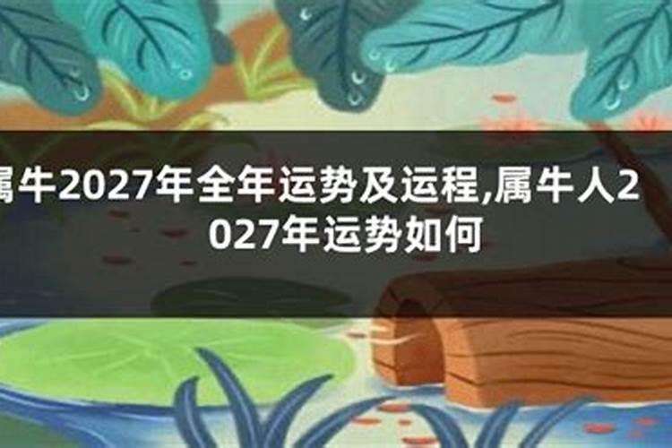 1973年牛女2025年运势完整版