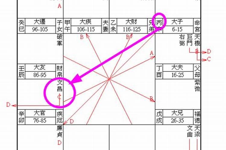 阴阳五行分析1949年出生的人是什么命