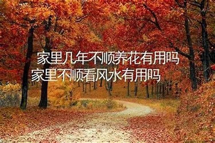 为什么家里老是不顺利