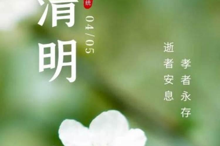 清明祭父散文随笔