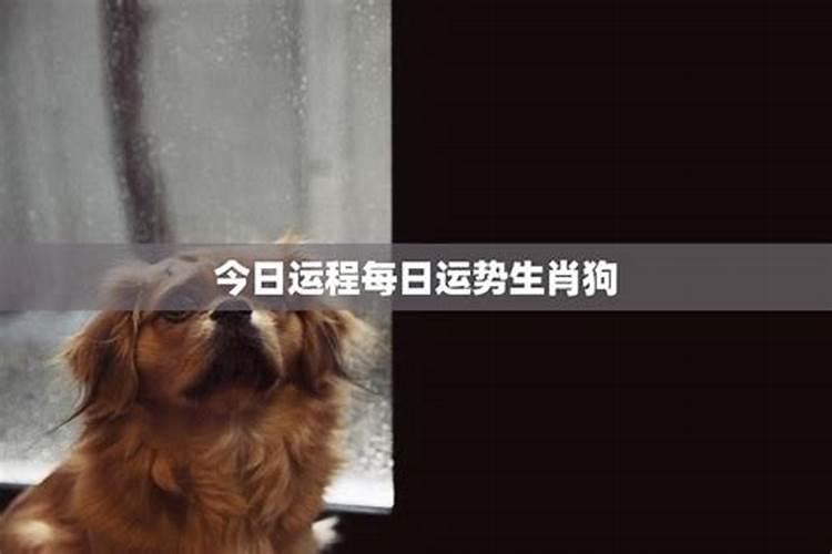 正月初一初二有班车么