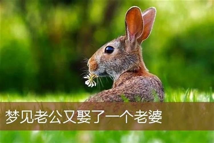 做梦梦到和妈妈吵架是什么意思