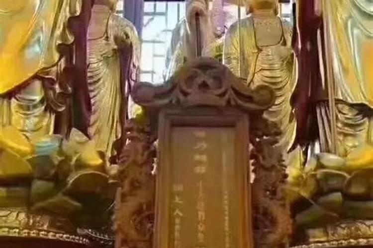 杭州清明节踏青赏花好去处