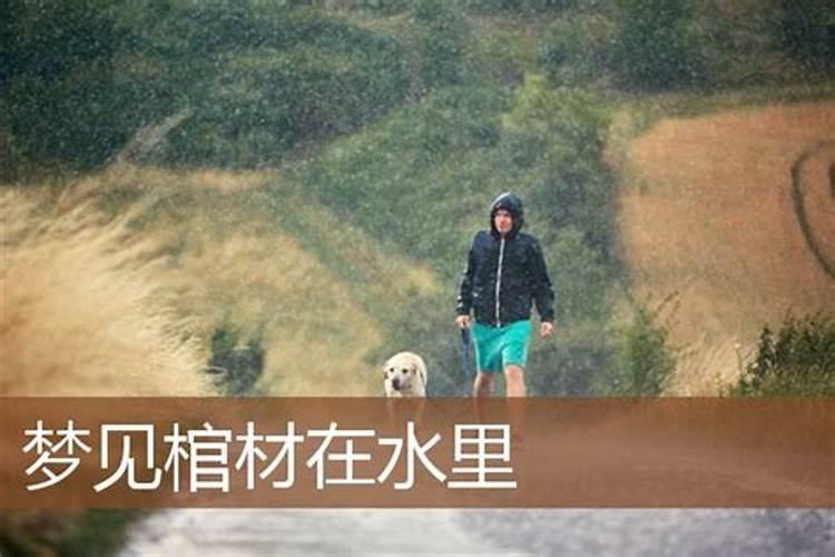 68年的猴2025年运势
