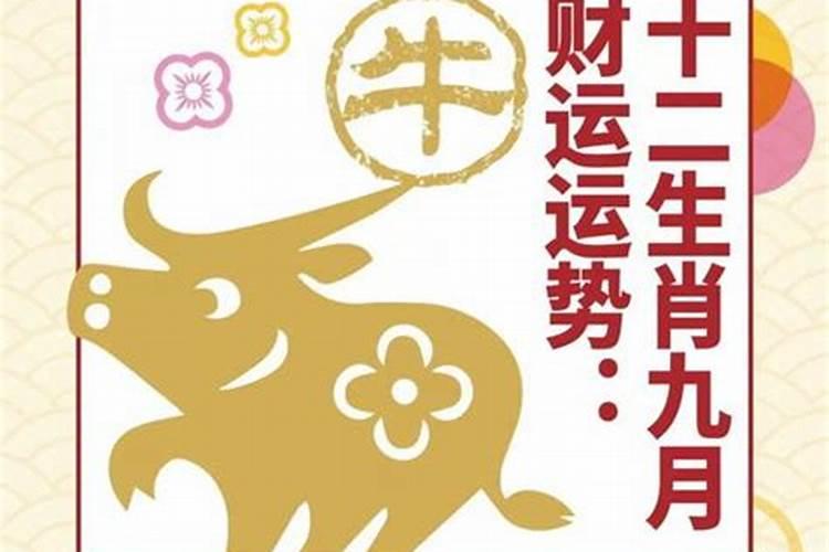 八月十五贡月亮的贡品怎么摆
